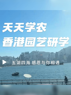 与香港园艺学会联合举办香港园艺研学，专业园境师带队讲解。