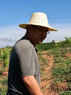 农业人叶涛，50多岁通讯人跨界搞农业，他要用1000万打造一个梦。